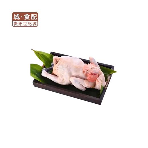 【GY】土仔公鸡  约4.2斤/只 商品图0