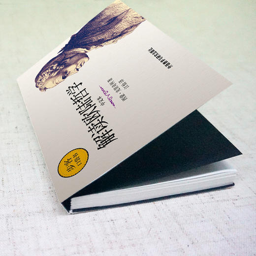 解读欧陆哲学(中文本)(步客口袋书) 商品图3