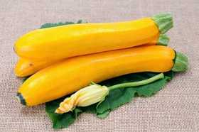 有机黄西葫芦 Organic Yellow Zucchini 300g/根