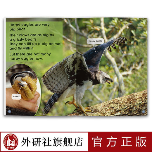 多维阅读(第7级) 12册 可点读扫码听音频 商品图3