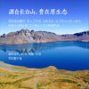 纯正野山参——19-21年/25~28年  长白山一等品  （单支装   7-8克） 泡酒/泡水/煲汤等 商品缩略图2