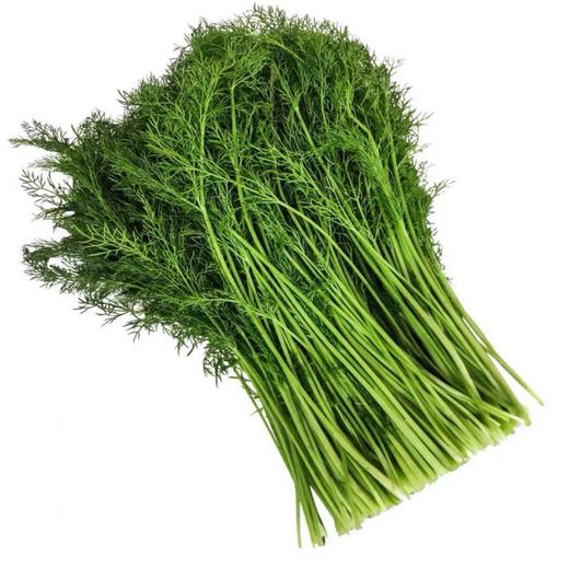 茴香约02kg