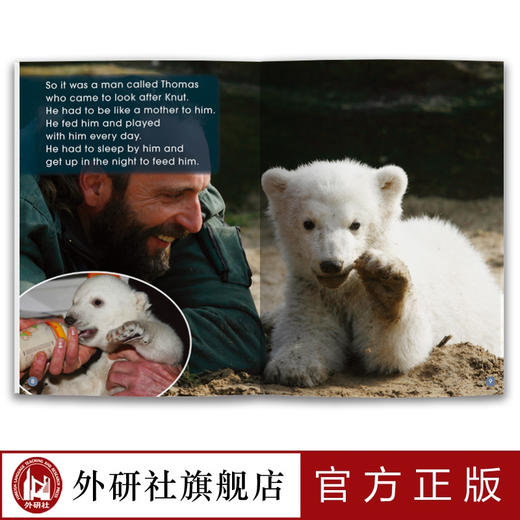 多维阅读(第8级) 12册 可点读 扫码听音频 商品图3