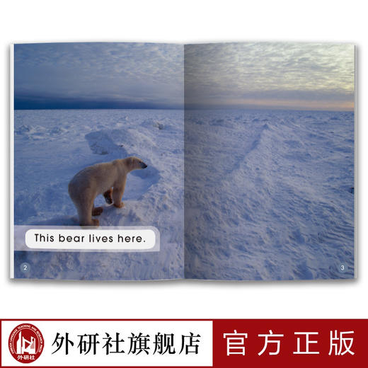 多维阅读(第1级)  12册 可点读 扫码听音频 商品图3