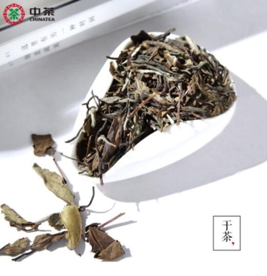 中茶蝴蝶牌六年陈老白茶50g 和养系列罐装散茶5169 白牡丹 福鼎特级老树白茶 商品图3