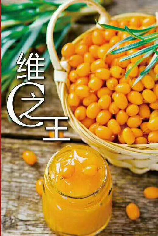 新疆沙棘原浆