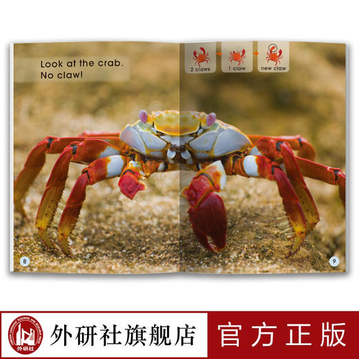 多维阅读(第3级) 12册 可点读 扫码听音频 商品图4