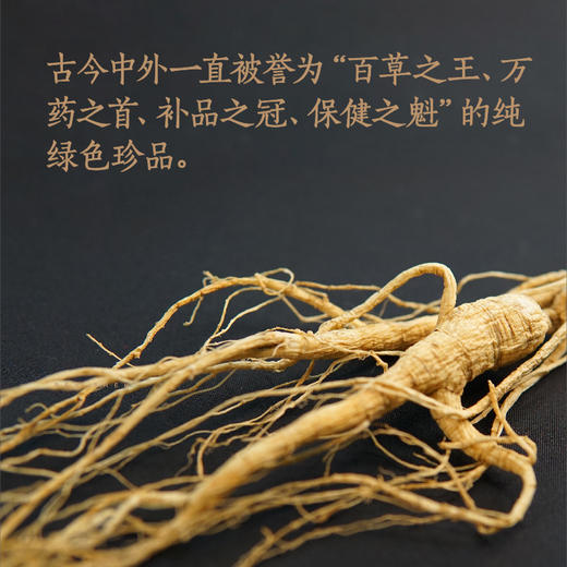 纯正野山参——19-21年/25~28年  长白山一等品  （单支装   7-8克） 泡酒/泡水/煲汤等 商品图1