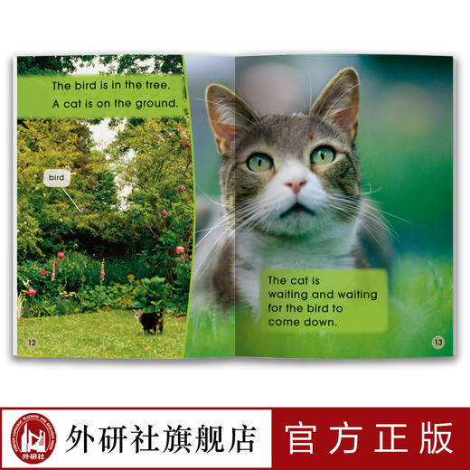 多维阅读(第5级) 12册 可点读 扫码听音频 商品图3