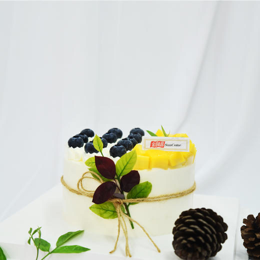 夏日鲜果 商品图1