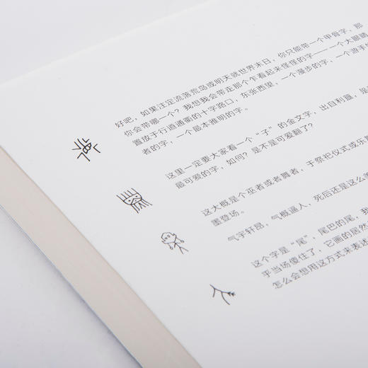 唐诺《文字的故事》《阅读的故事》 商品图3