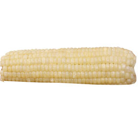 速冻糯玉米(14-16)