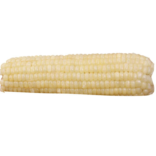 速冻糯玉米(14-16) 商品图0