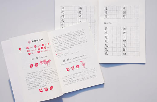 小生字大语文系列小学汉字通识课二年级下 封底扫码赠送视频和写字本 紧贴小学统编教材生字学习 汉字文化专业品牌  好字在 李山川 商品图2