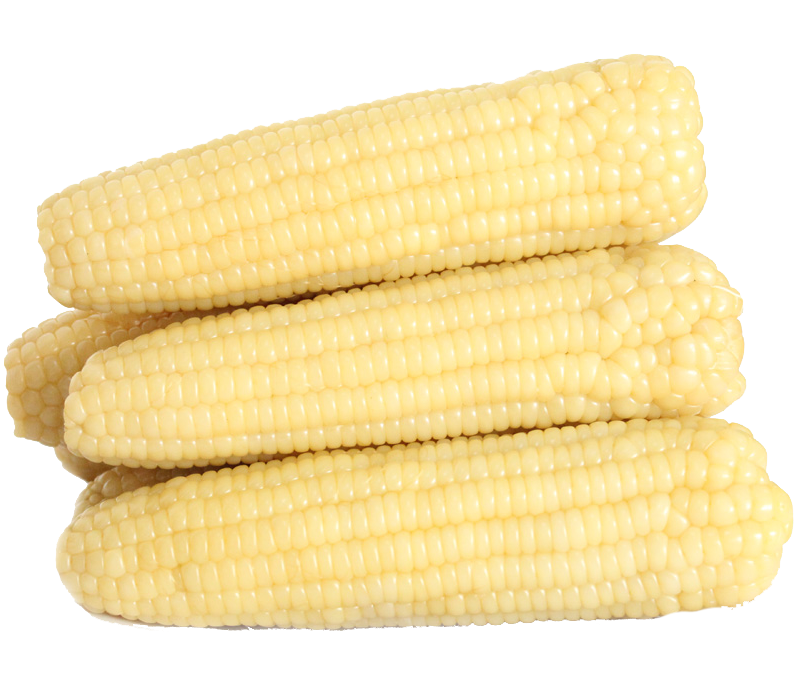 熟玉米