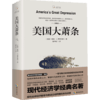 美国大萧条（2020修订本）奥地利学派经典名著，经济学阅读作品，著名经济学家张维迎作序推荐 商品缩略图1