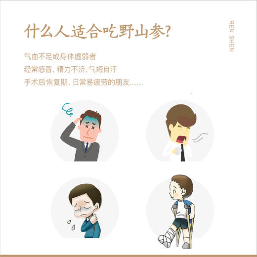 纯正野山参——19-21年/25~28年  长白山一等品  （单支装   7-8克） 泡酒/泡水/煲汤等 商品图8