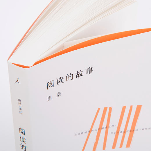 唐诺《文字的故事》《阅读的故事》 商品图6