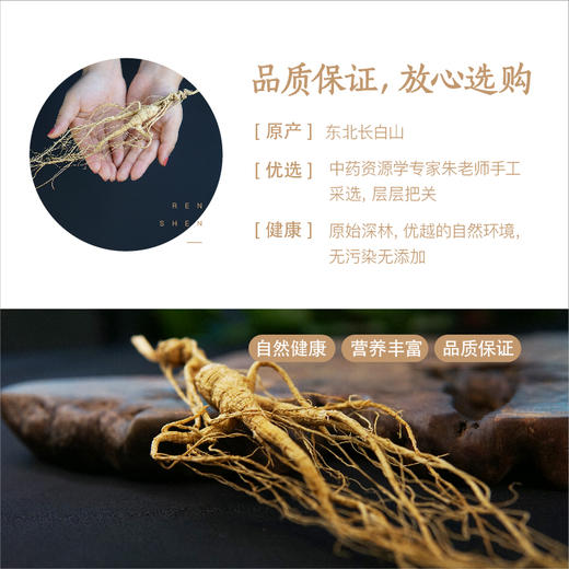 纯正野山参——19-21年/25~28年  长白山一等品  （单支装   7-8克） 泡酒/泡水/煲汤等 商品图5