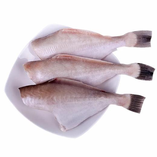 北海精品耗儿鱼重庆包邮