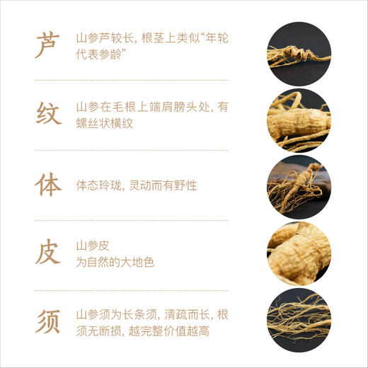 纯正野山参——19-21年/25~28年  长白山一等品  （单支装   7-8克） 泡酒/泡水/煲汤等 商品图7
