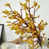 配花-袋鼠爪-5枝/扎 商品缩略图1
