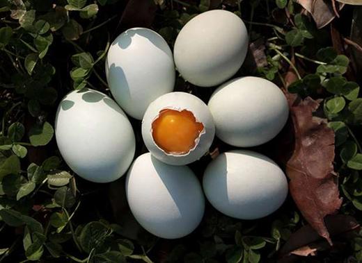 桐叶月卡礼套装 商品图6