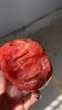 普罗旺斯大番茄  绿色A级   可生吃的水果番茄  粉糯多汁 商品缩略图9