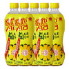 胶瓶维他菊花茶500ml*15瓶 商品缩略图2