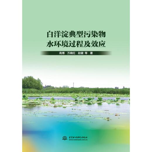 白洋淀典型污染物水环境过程及效应 商品图0