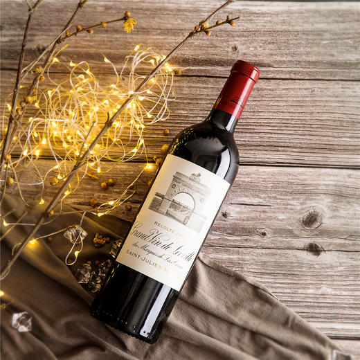 雄狮酒庄红葡萄酒2011年 商品图1