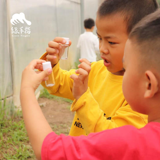 探寻农园的蚂蚁 | 农园活动*Search for red fire ants in the farm | Farm activities 商品图2