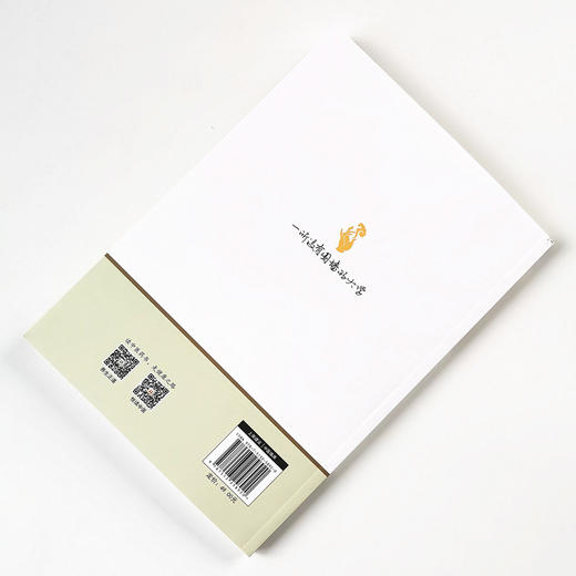 六经八纲用经方 竹雨轩经方临证体悟（第二版）【张立山】 商品图2