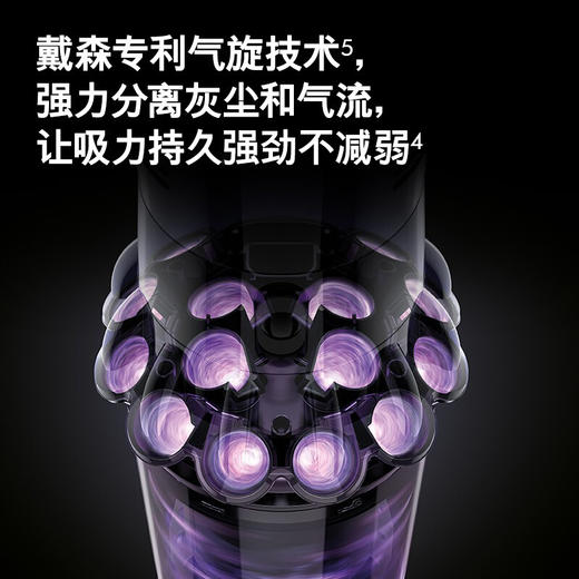 全新国行正品戴森Dyson吸尘器 V10 Fluffy Extra手持无线吸尘器 家用除螨 宠物家庭适用 商品图7