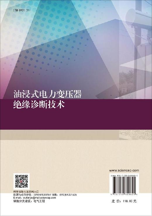 油浸式电力变压器绝缘诊断技术 商品图1