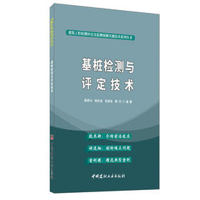 【正版现货】基桩检测与评定技术 路彦兴著 建筑工程检测评定及监测预测关键技术系列丛书 中国建材工业出版社