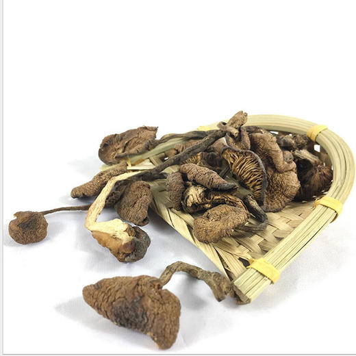包邮有机榛蘑100g 菌菇干货蘑菇 商品图4