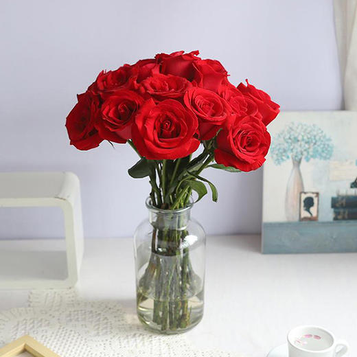 卡罗拉(玫瑰)18支 颜色随机