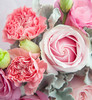 浅浅的温柔--粉佳人玫瑰4枝，粉色康乃馨4枝 商品缩略图2