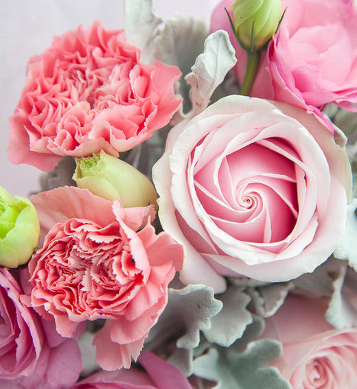 浅浅的温柔--粉佳人玫瑰4枝，粉色康乃馨4枝 商品图2
