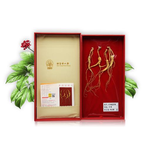 神象牌明星款 野山参拼装10克礼盒 小支等级 商品图3
