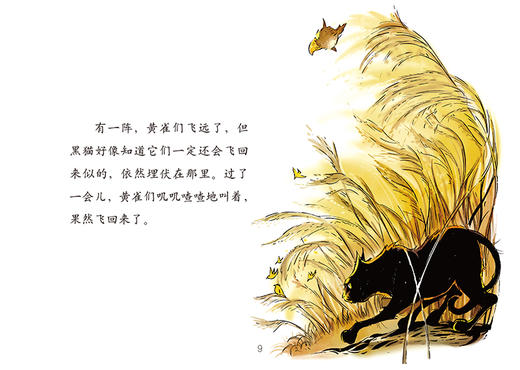 曹文轩作品·侠鸟传奇·黑猫 适度年龄3-7岁 商品图1