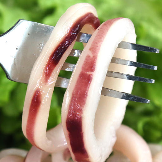 物本源深海鱿鱼圈 商品图0