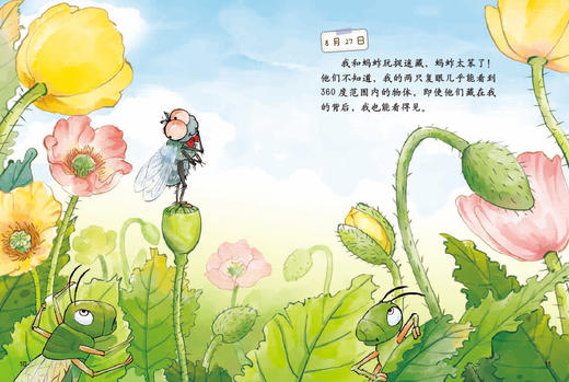 中少阳光图书馆 我的日记系列 苍蝇的日记 适读年龄3-9岁 商品图4