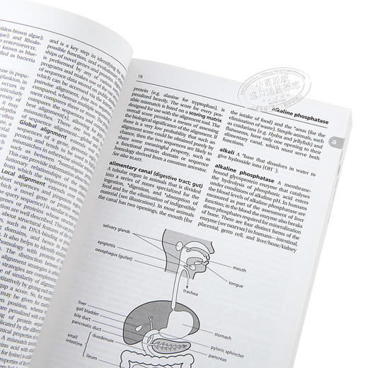 预售 【中商原版】牛津生物学词典 英文原版 A Dictionary of Biology Robert Hine 商品图3