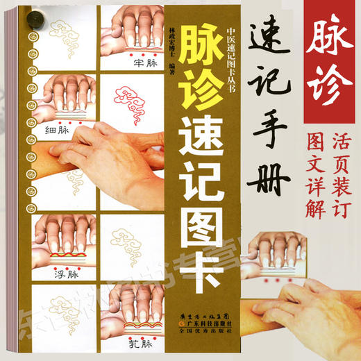 脉诊速记图卡 商品图0