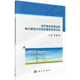 基于复杂性理论的电力系统大停电机理及预测方法