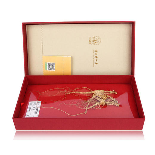 五五购物节 上药神象野山人参 野山参中支等级礼盒12克 商品图2