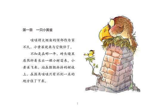 曹文轩作品·侠鸟传奇·黑猫 适度年龄3-7岁 商品图4