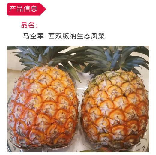 丨生态丨凤梨约5斤 菠萝 产自西双版纳（全国大部分地区包邮，新疆，西藏不发货） 水果 商品图6